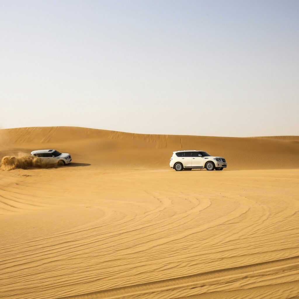 pexels-elena-zhuravleva-647531-2182449